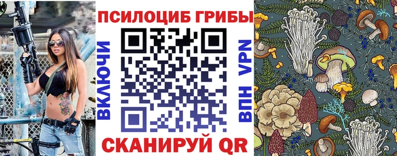 Галлюциногенные грибы Psilocybine cubensis  наркота  Темников 